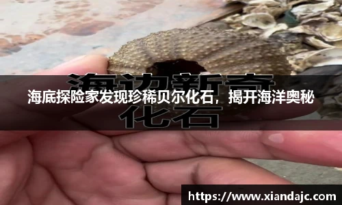 海底探险家发现珍稀贝尔化石，揭开海洋奥秘